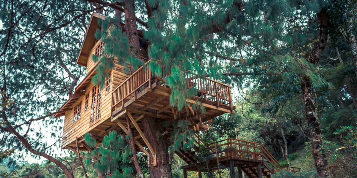 cabañas en arboles dormir en un arbol
