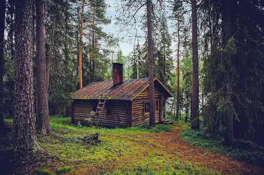 Cabañas en el bosque